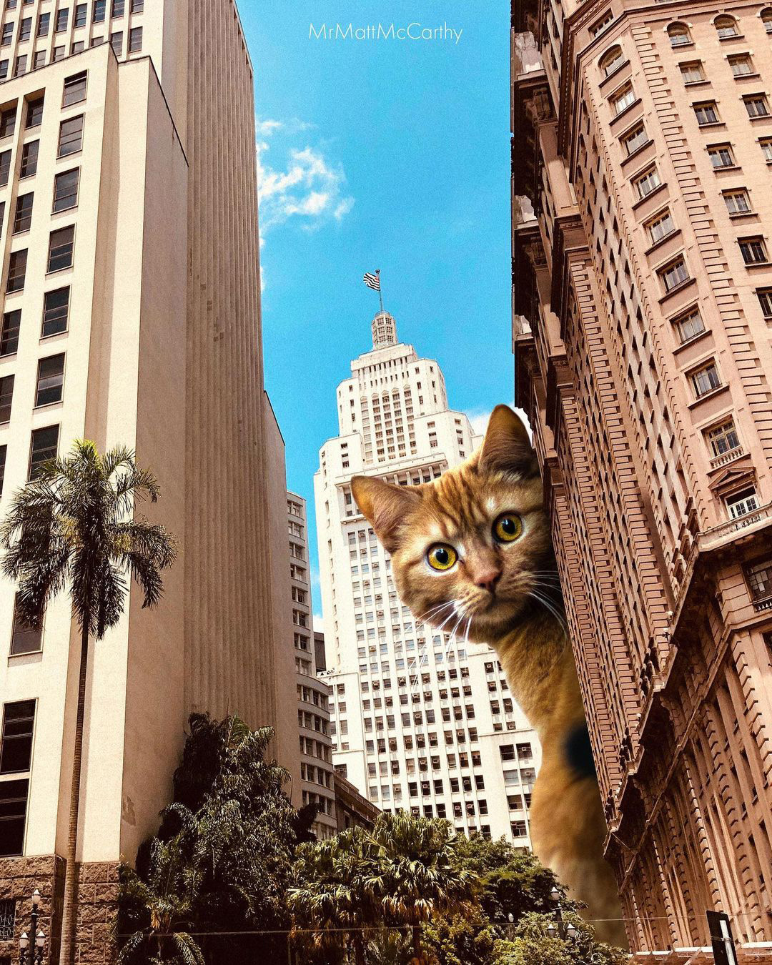 https://sfg.media/magazine/gigant-cat-collages-by-matt-mccarthy/02.jpg